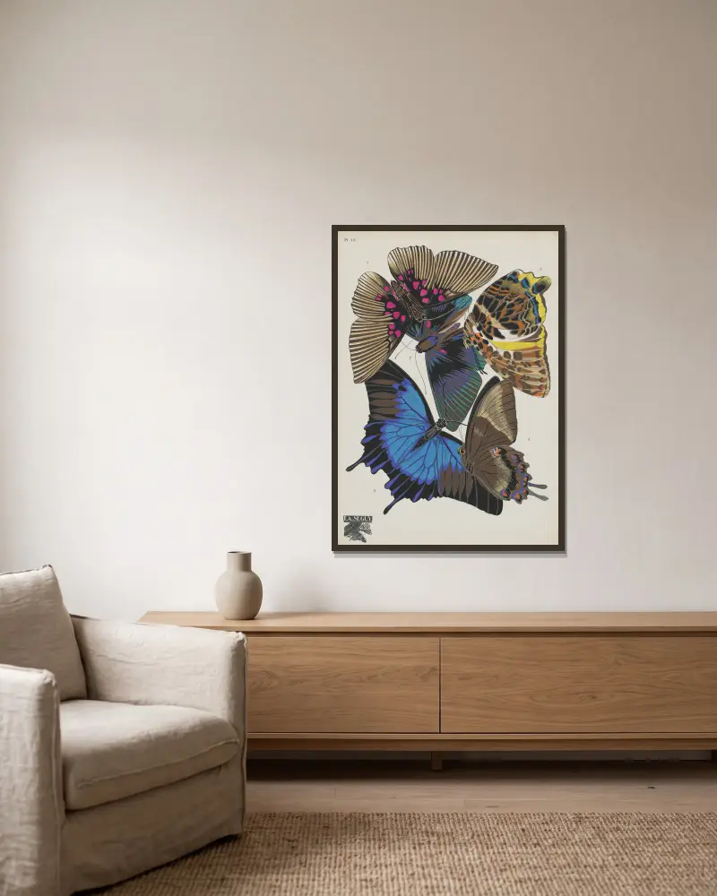 Papillons Pl.16 von Emile-Allain Séguy gerahmt an einer Wand
