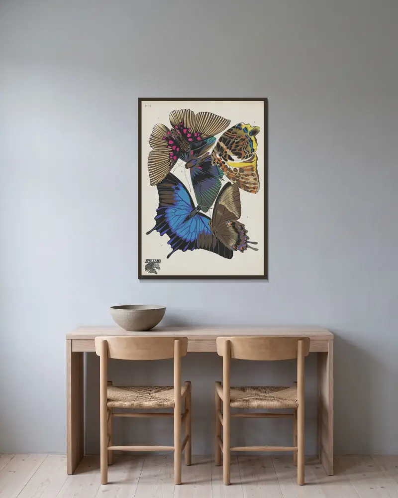 Papillons Pl.16 von Emile-Allain Séguy gerahmt an einer Wand
