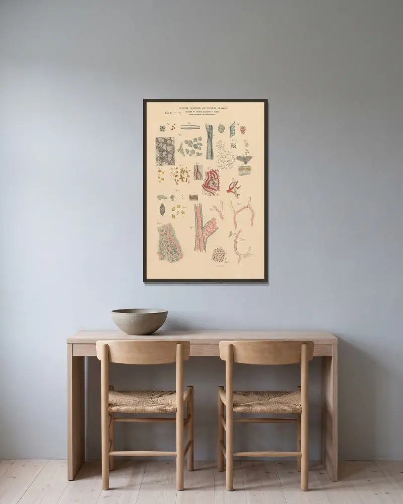 Metamorfos av formade blodelement av Jean Allard Jeancon inramad på en vägg