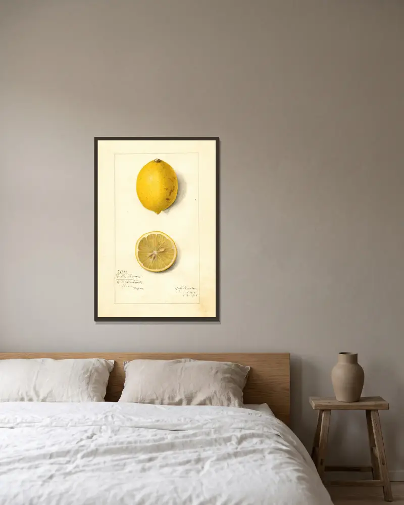 Citrus limon: Villa France av Amanda Almira Newton inramad på en vägg