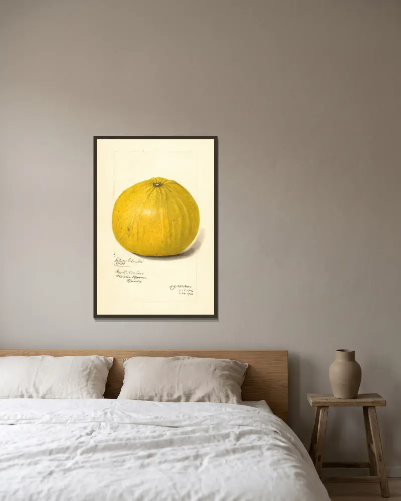 Citrus paradisi: Silver Cluster av Amanda Almira Newton inramad på en vägg