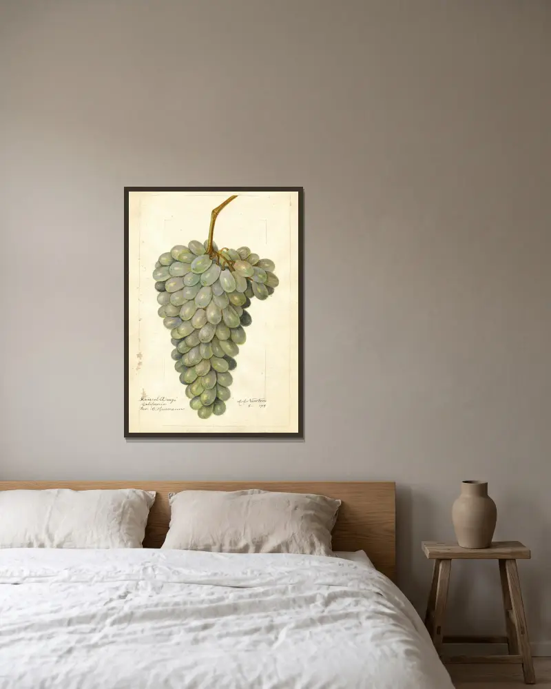 Vitis: Deis El Aunze von Amanda Almira Newton gerahmt an einer Wand