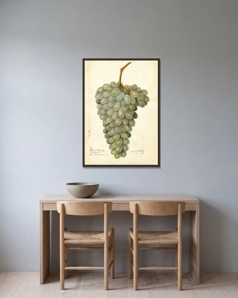 Vitis: Deis El Aunze von Amanda Almira Newton gerahmt an einer Wand