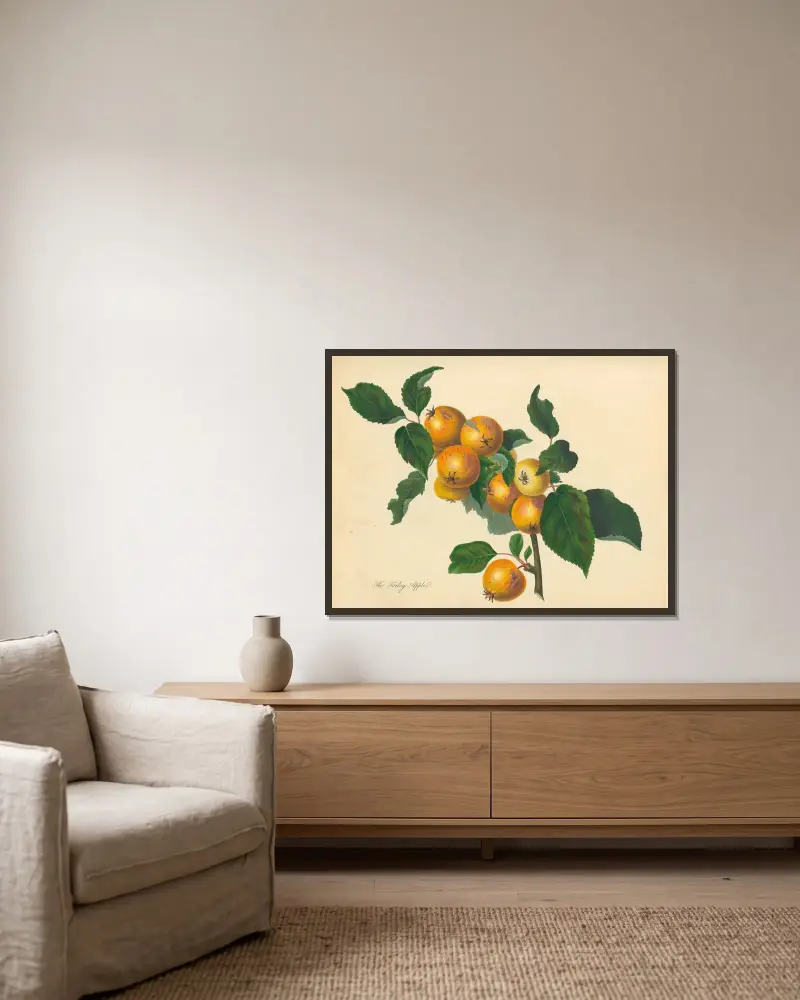 Foxley Apple, Thomas Andrew Knight v rámu na stěně