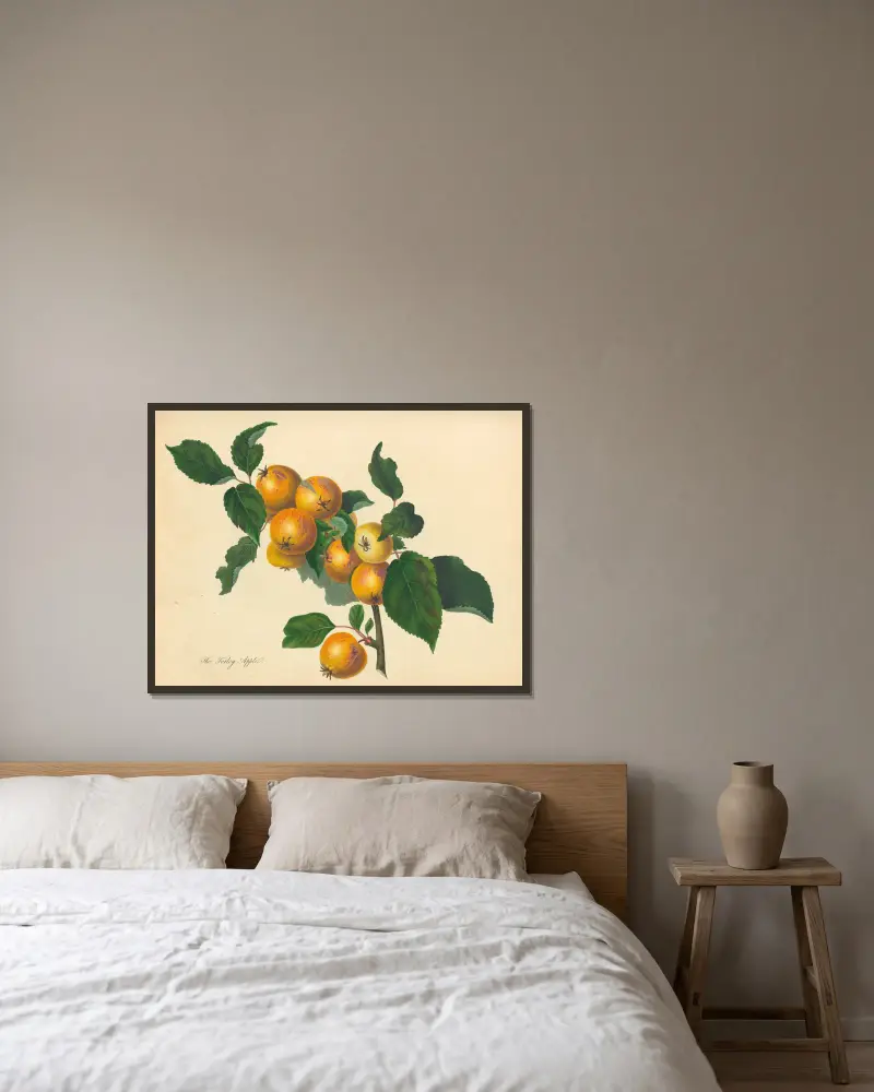 Foxley Apple, Thomas Andrew Knight v rámu na stěně