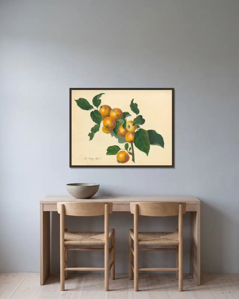 Foxley Apple, Thomas Andrew Knight v rámu na stěně