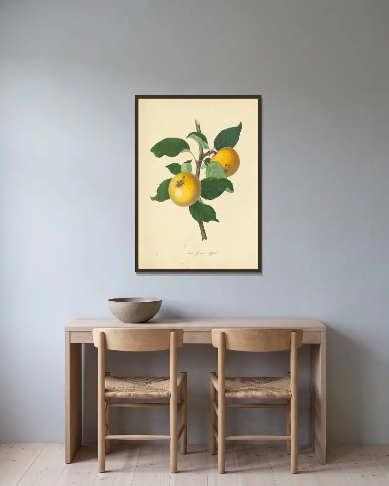 Grange Apple, Thomas Andrew Knight v rámu na stěně