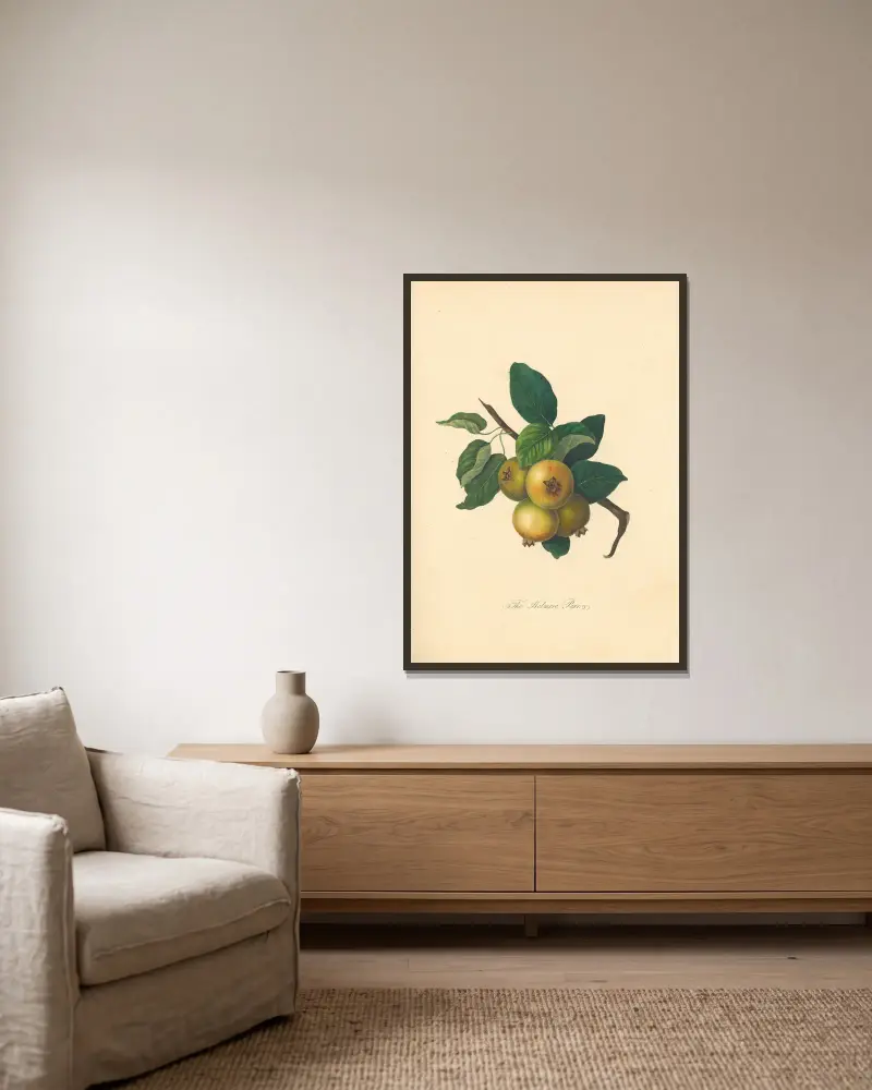 Holmore Pear von Thomas Andrew Knight gerahmt an einer Wand