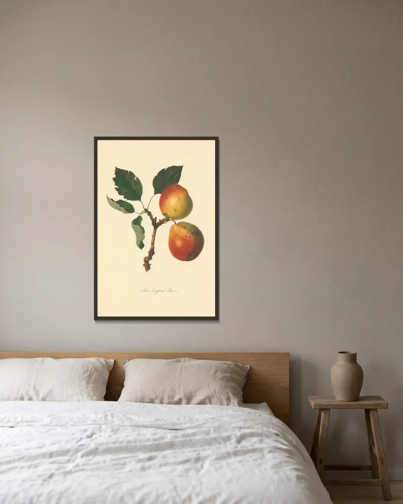 Longland Pears, Thomas Andrew Knight v rámu na stěně