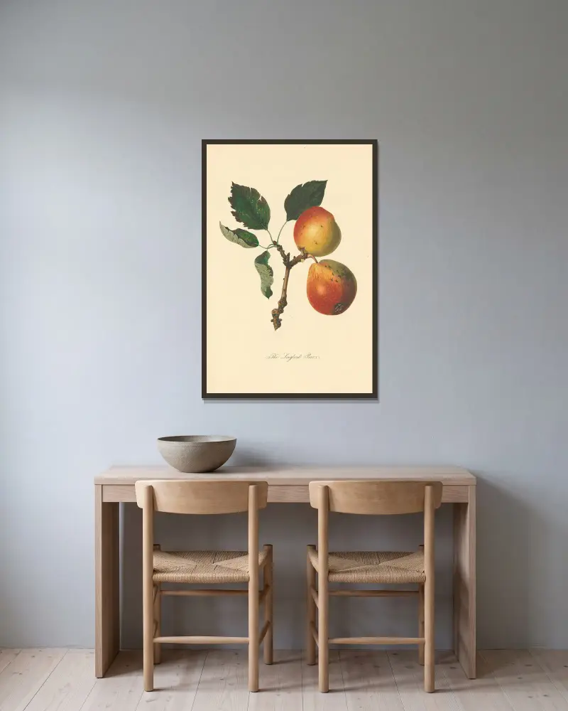 Longland Pears, Thomas Andrew Knight v rámu na stěně
