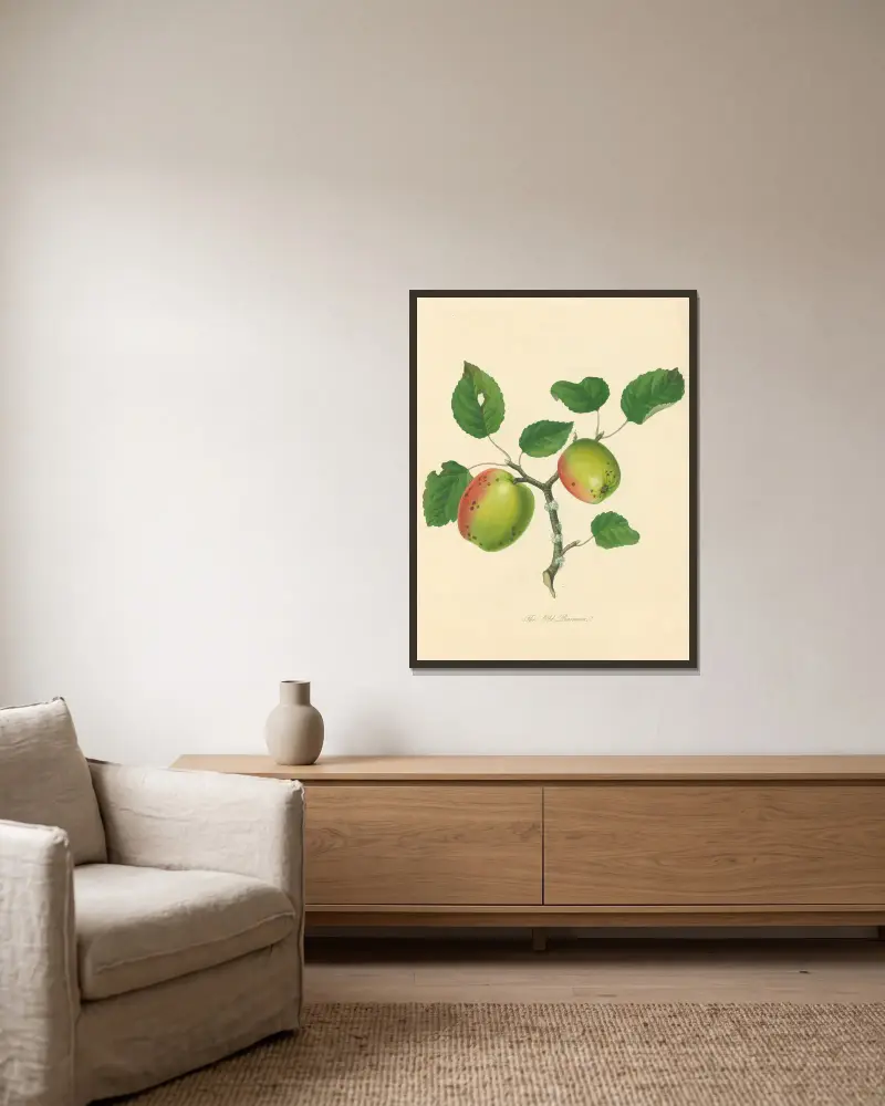 Old Pearmain von Thomas Andrew Knight gerahmt an einer Wand