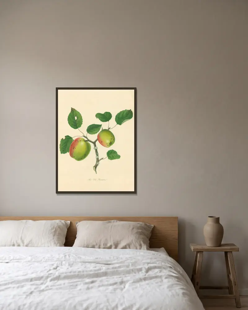 Old Pearmain von Thomas Andrew Knight gerahmt an einer Wand