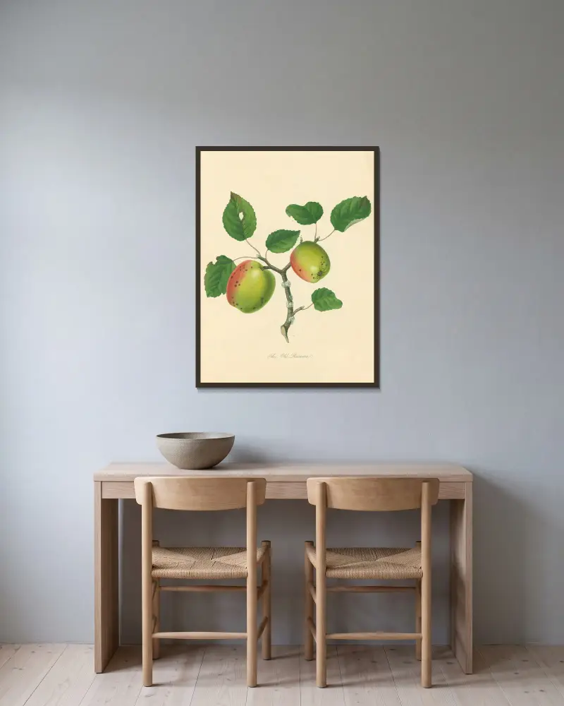 Old Pearmain von Thomas Andrew Knight gerahmt an einer Wand