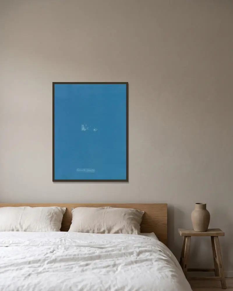 Catenella opuntia av Anna Atkins inramad på en vägg