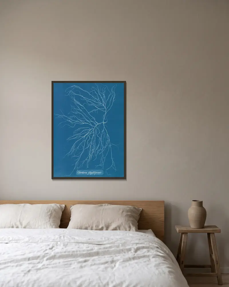 Chordaria flagelliformis, 1843 – Nr. 2 von Anna Atkins gerahmt an einer Wand