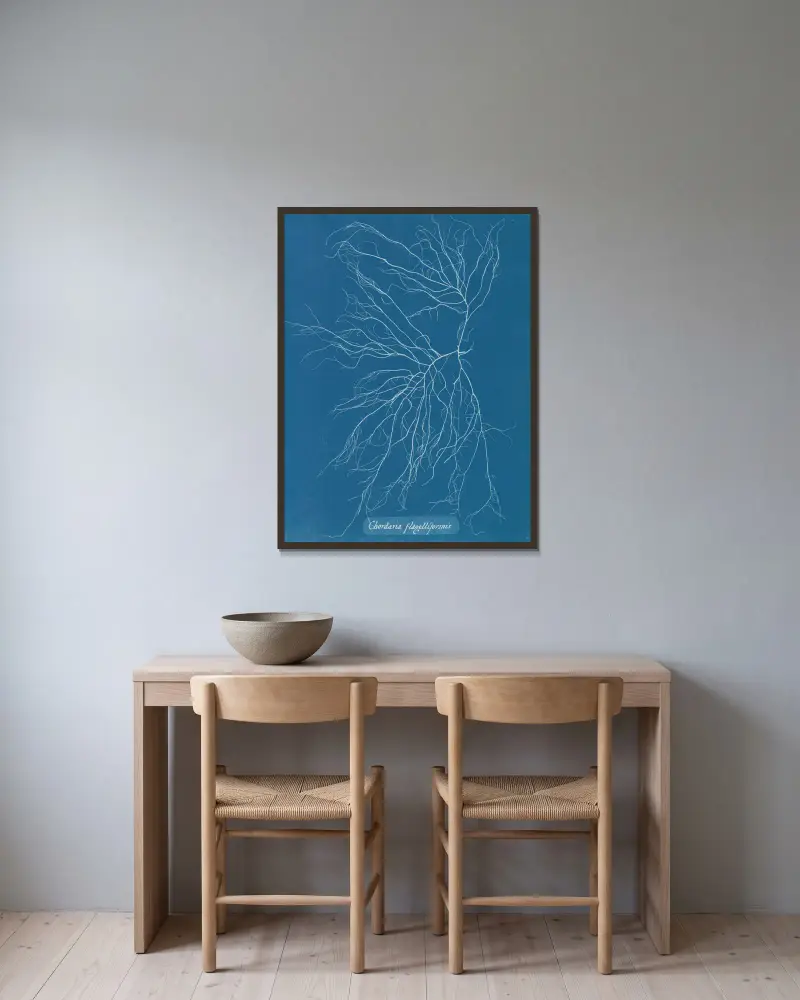 Chordaria flagelliformis, 1843 – Nr. 2 von Anna Atkins gerahmt an einer Wand