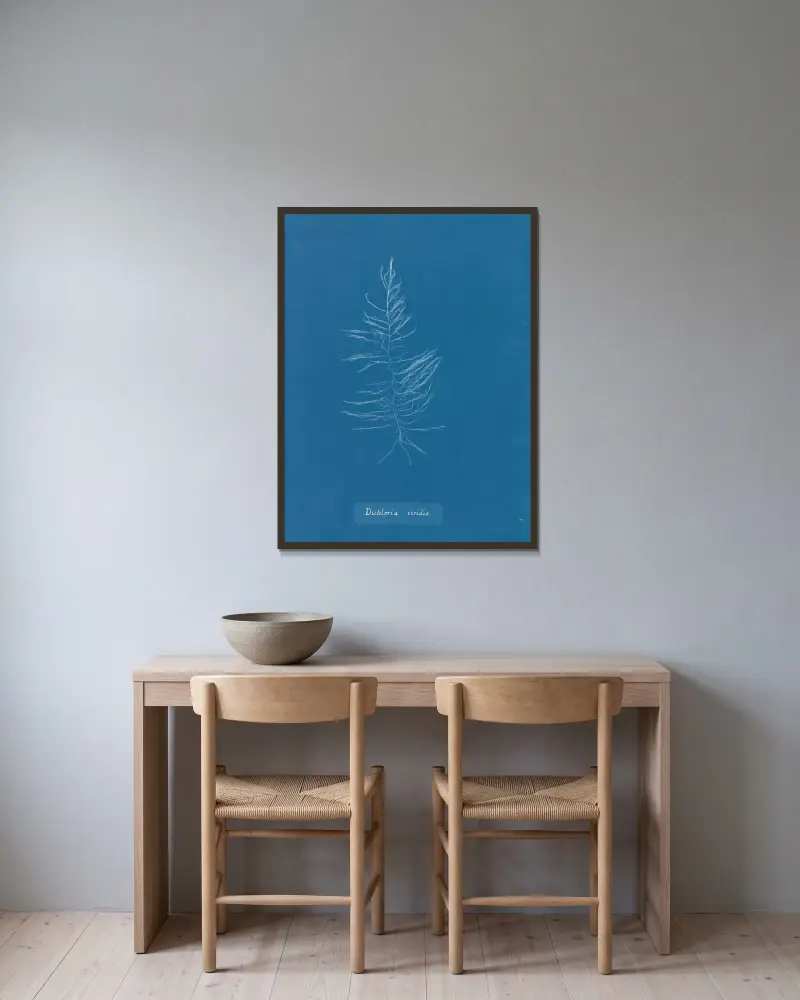 Dichloria viridis, Anna Atkins w ramie na ścianie
