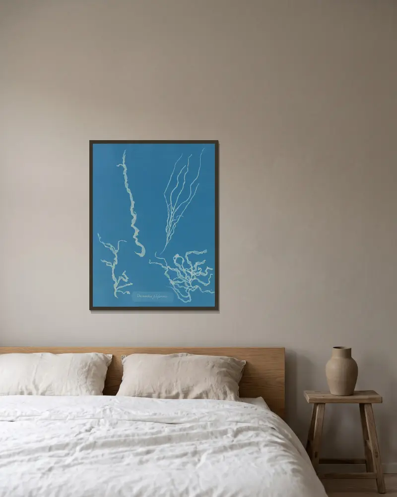 Dumontia filiformis av Anna Atkins inramad på en vägg