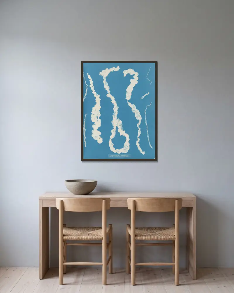 Enteromorpha intestinalis, 1843 – Nr. 1 von Anna Atkins gerahmt an einer Wand