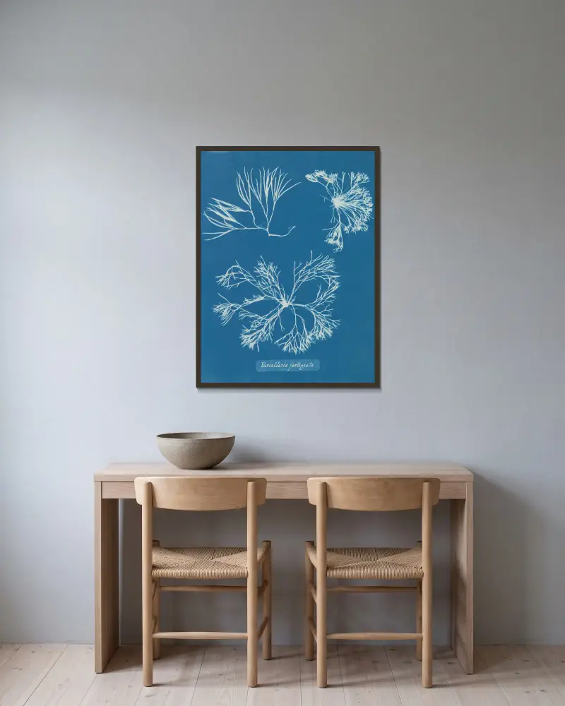 Furcellaria fastigiata, 1843 – Nr. 2 von Anna Atkins gerahmt an einer Wand