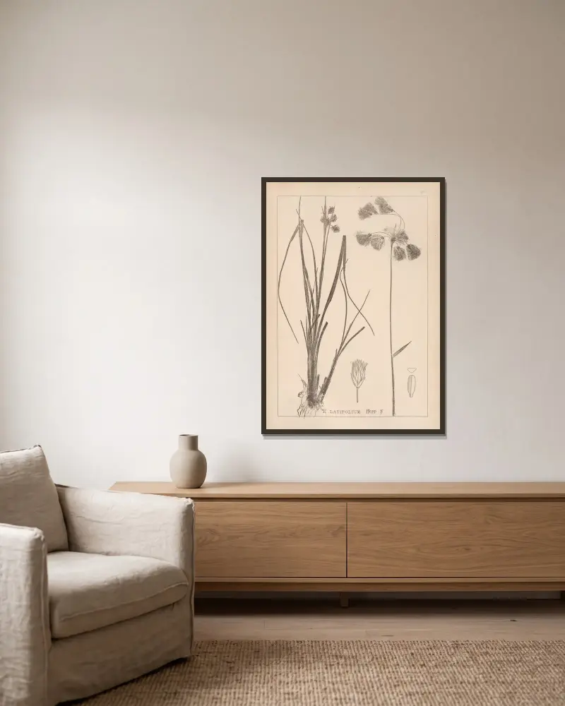 Herbier de la flore française Pl. 1191 von Louis Antoine Cusin gerahmt an einer Wand