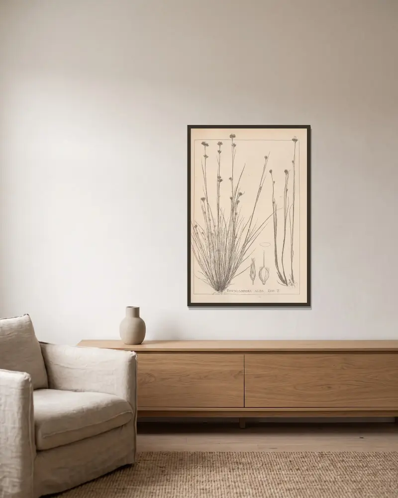 Fransk flora, plansch 1223 av Louis Antoine Cusin inramad på en vägg