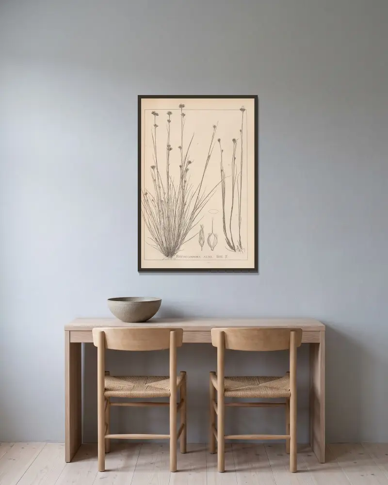 Fransk flora, plansch 1223 av Louis Antoine Cusin inramad på en vägg