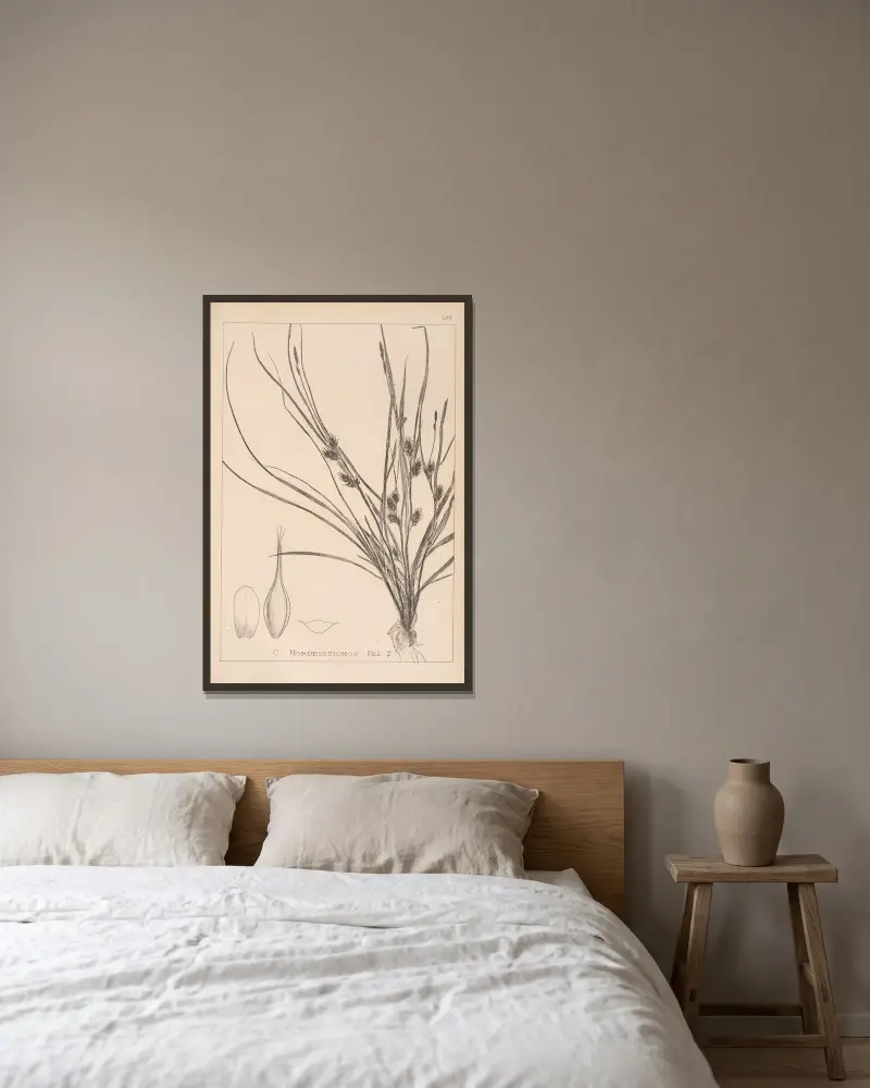 Fransk flora, plansch 1311 av Louis Antoine Cusin inramad på en vägg