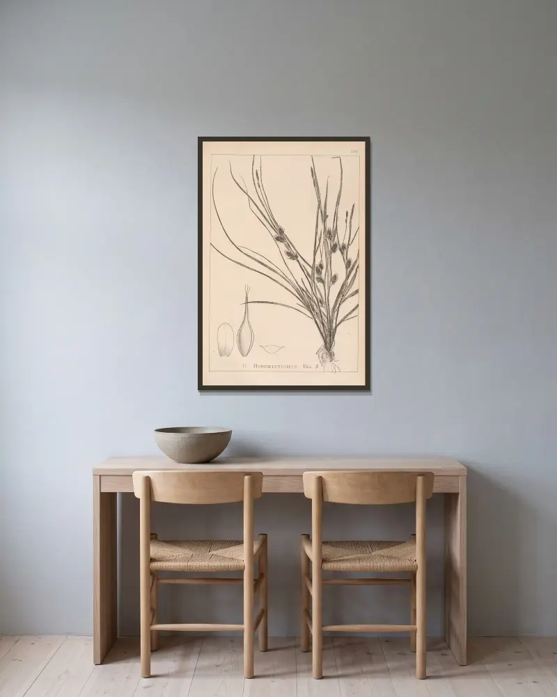 Fransk flora, plansch 1311 av Louis Antoine Cusin inramad på en vägg