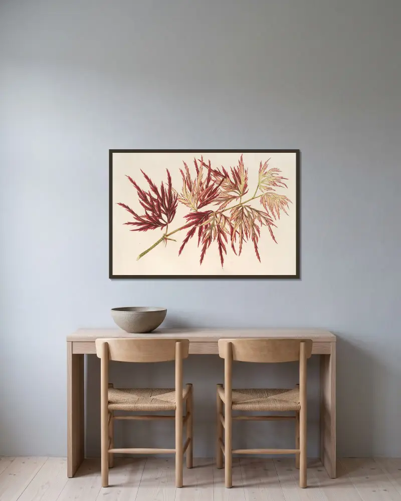 Acer (polymorphum) palmatum av Charles Antoine Lemaire inramad på en vägg