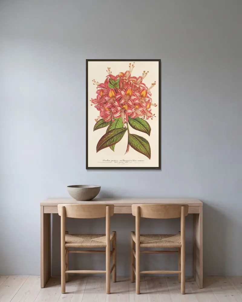 Azaleabukett från Flore des Serres av Charles Antoine Lemaire inramad på en vägg