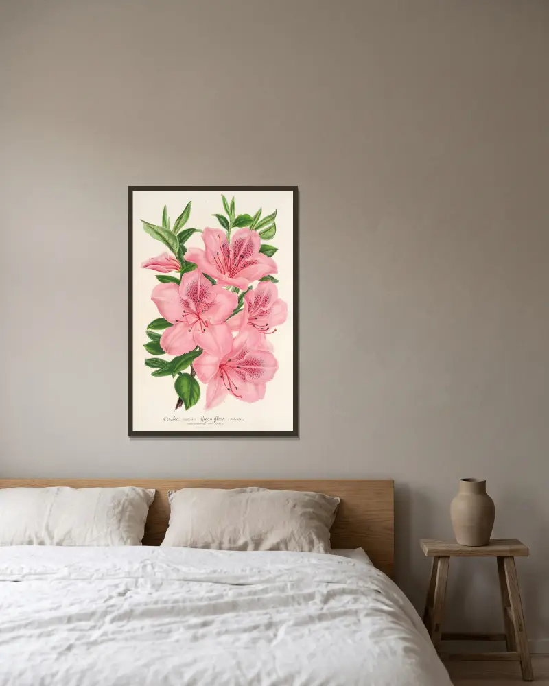 Azalea indica (hybrida) gigantiflora, Charles Antoine Lemaire w ramie na ścianie