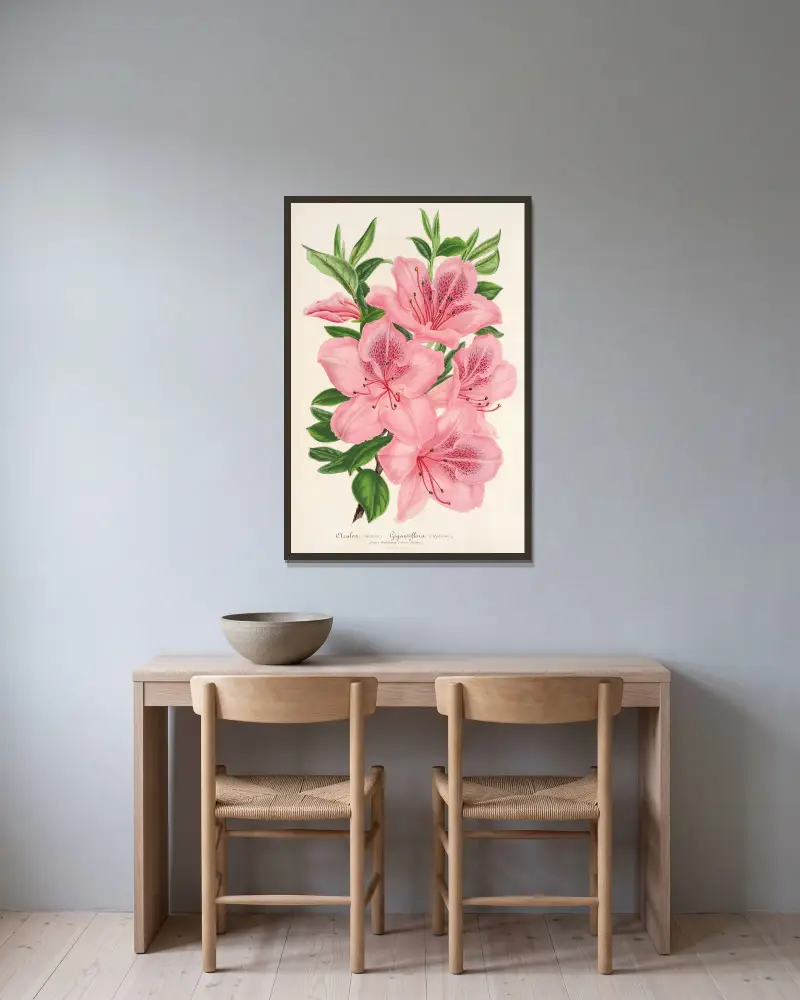 Azalea indica (hybrida) gigantiflora, Charles Antoine Lemaire w ramie na ścianie