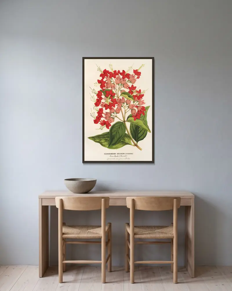 Clerodendrum speciosum (hybridum), Charles Antoine Lemaire w ramie na ścianie