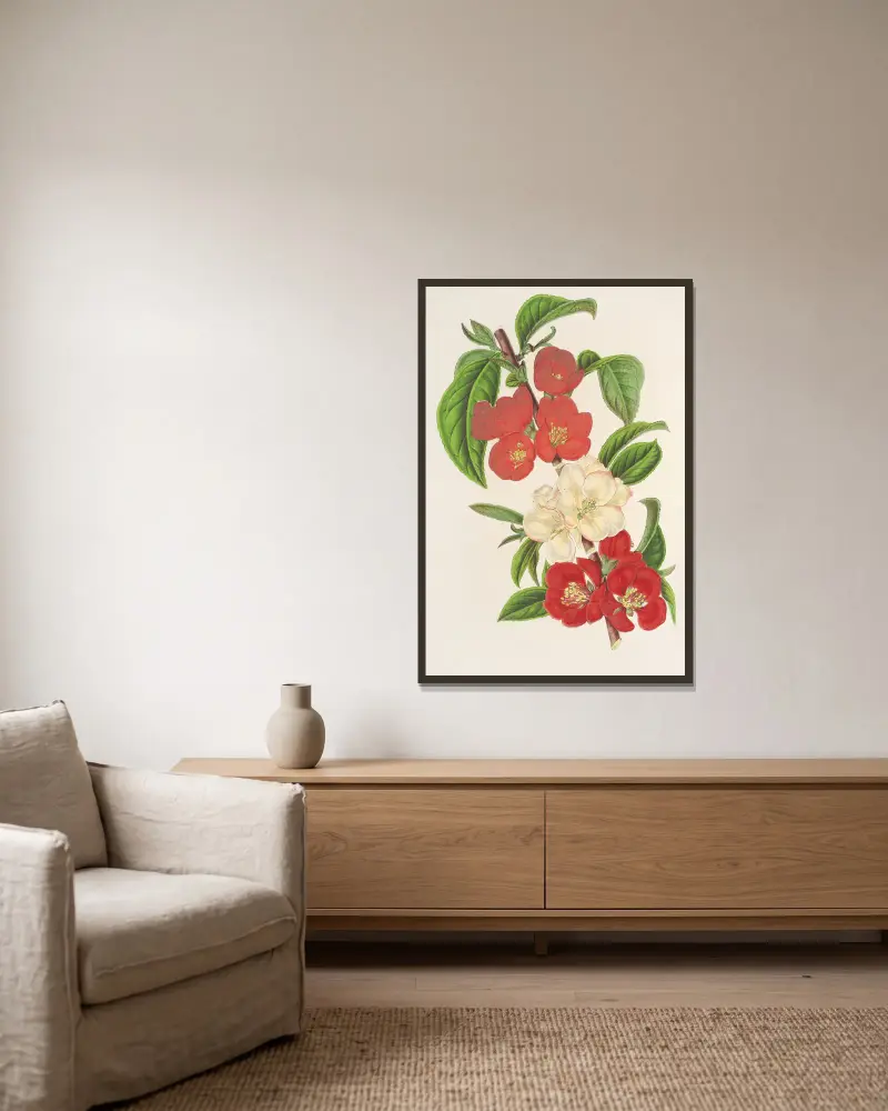 Cydonia japónica (Varietés nouvelles du) von Charles Antoine Lemaire gerahmt an einer Wand