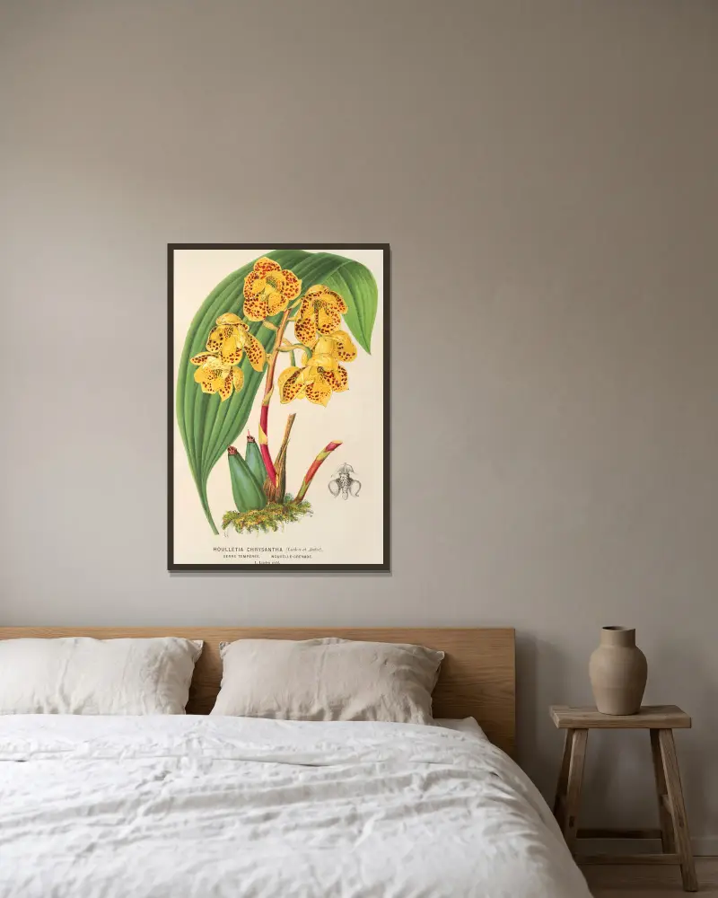 Houlletia chrysantha av Charles Antoine Lemaire inramad på en vägg