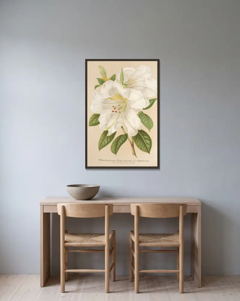 Rhododendrum Sesterianum (hybrid.) av Charles Antoine Lemaire inramad på en vägg