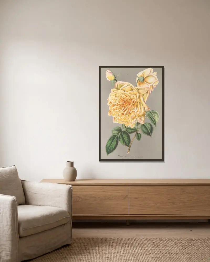 Rose (Thé) Jaune d’or av Charles Antoine Lemaire inramad på en vägg