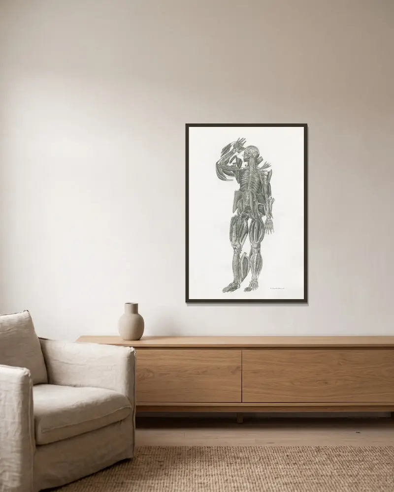 Anatomia Universale Pl.52 von Antonio Serantoni gerahmt an einer Wand