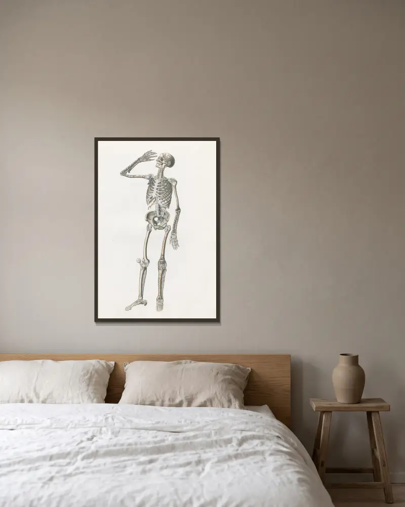 Anatomia Universale Pl.70, Antonio Serantoni v rámu na stěně