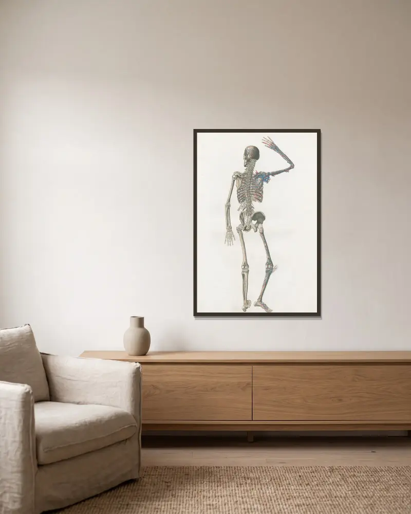 Anatomia Universale Pl. 73 von Antonio Serantoni gerahmt an einer Wand