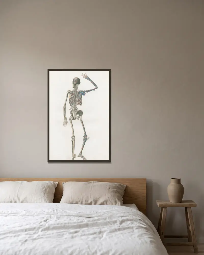 Anatomia Universale Pl. 73 von Antonio Serantoni gerahmt an einer Wand