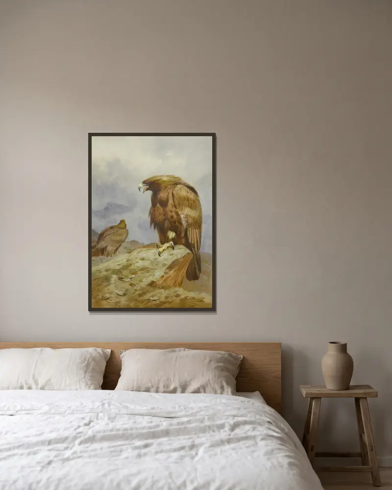 Ett par kungsörnar av Archibald Thorburn inramad på en vägg