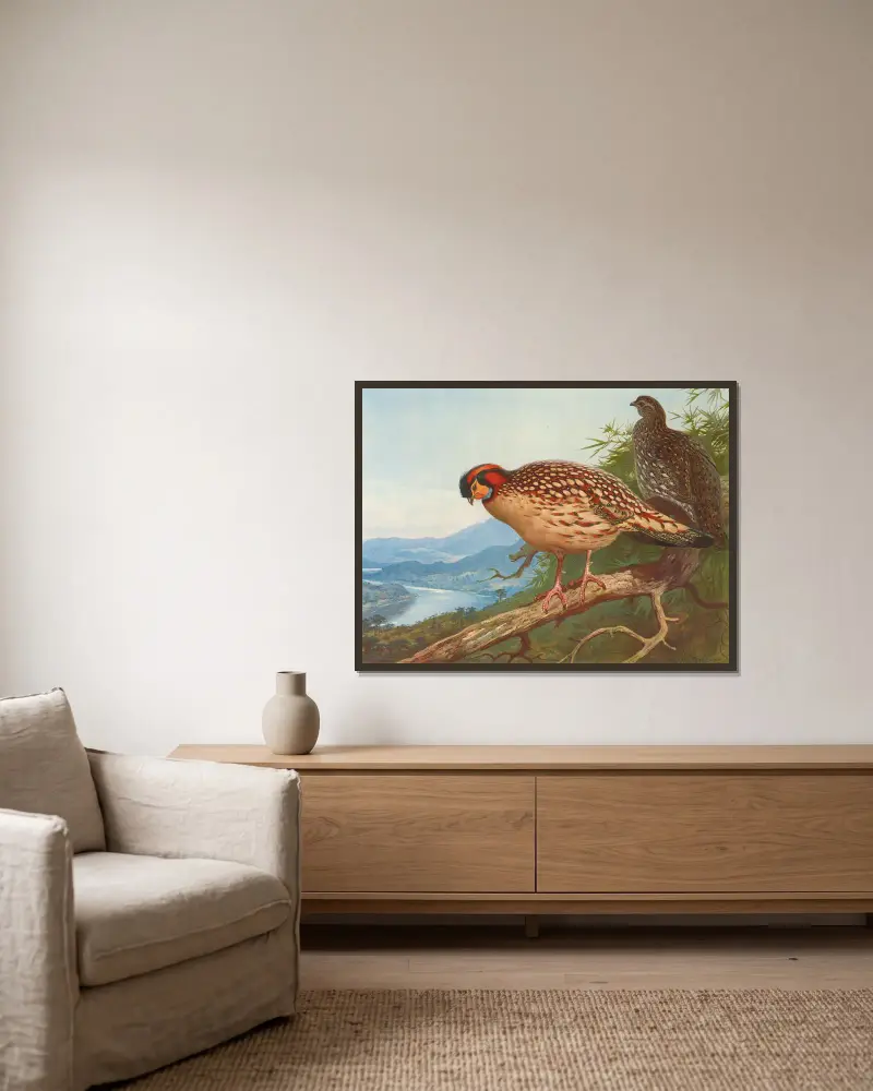 Cabot’s Tragopan av Archibald Thorburn inramad på en vägg