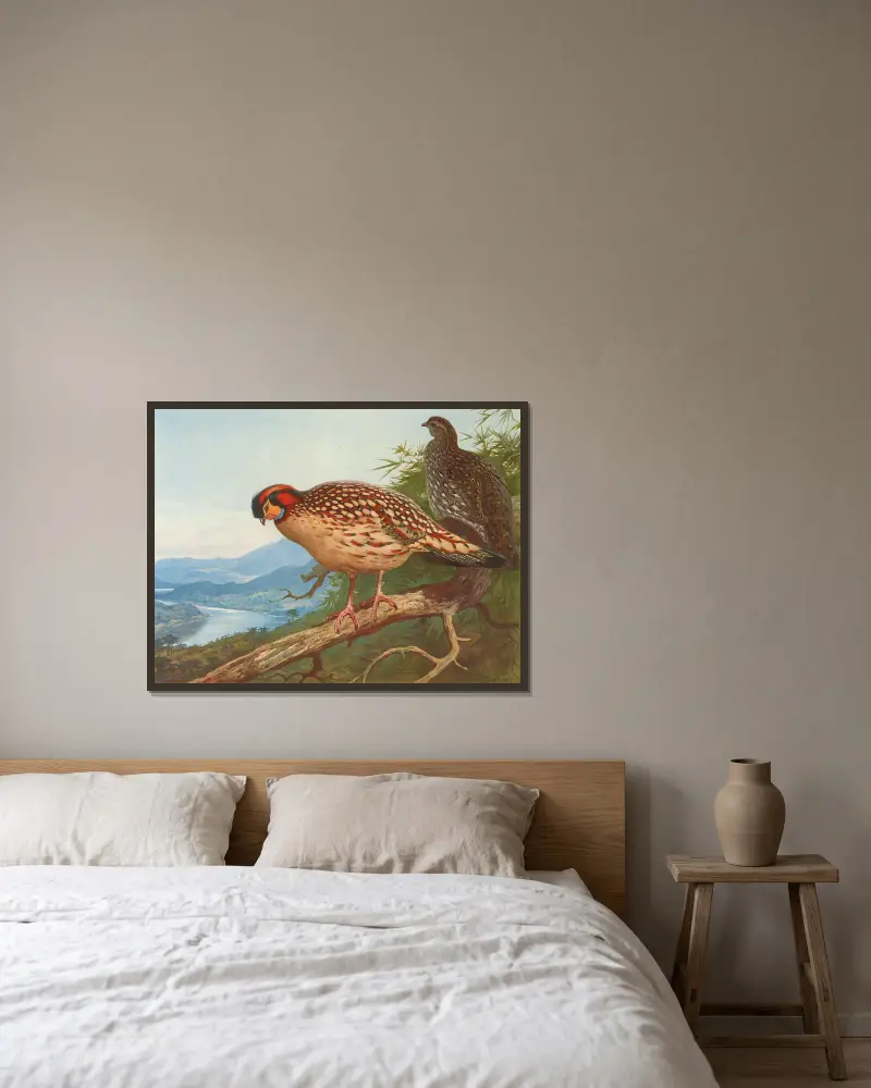 Cabot’s Tragopan av Archibald Thorburn inramad på en vägg