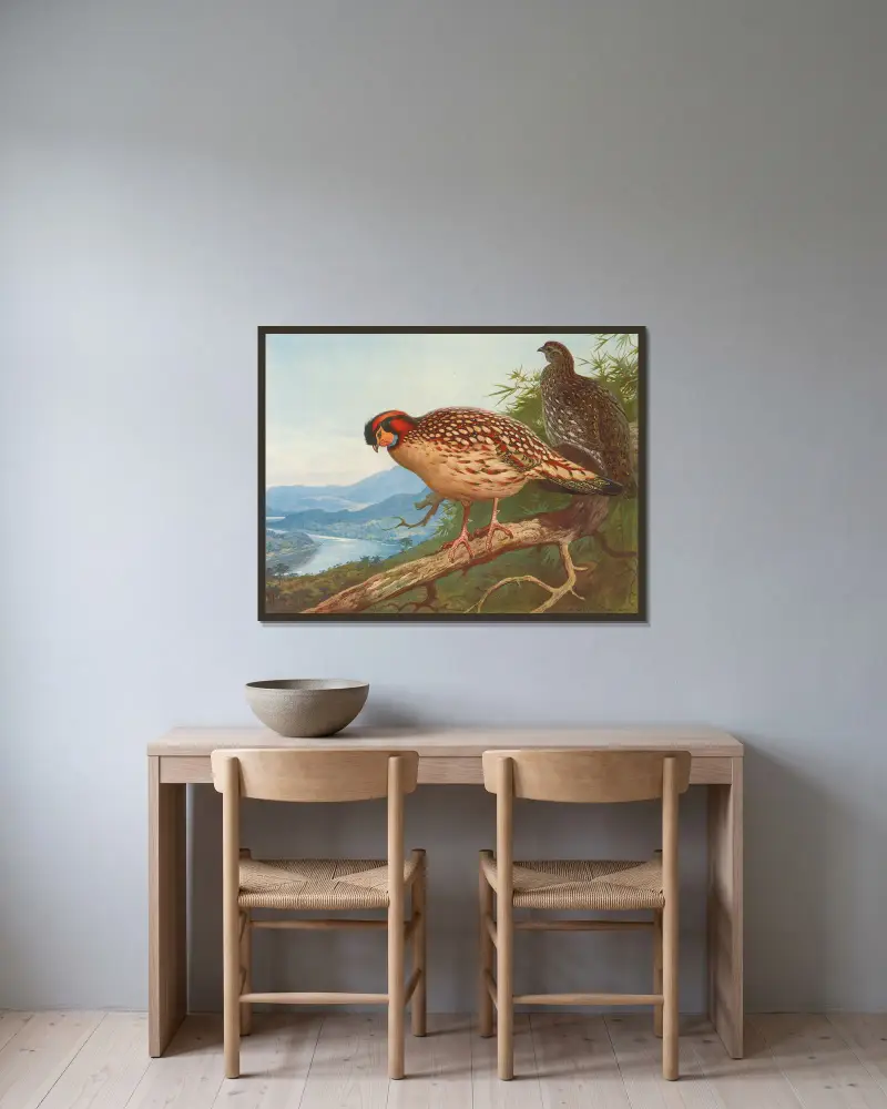 Cabot’s Tragopan av Archibald Thorburn inramad på en vägg