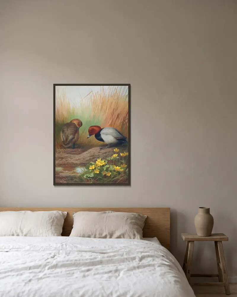 Tafelente von Archibald Thorburn gerahmt an einer Wand