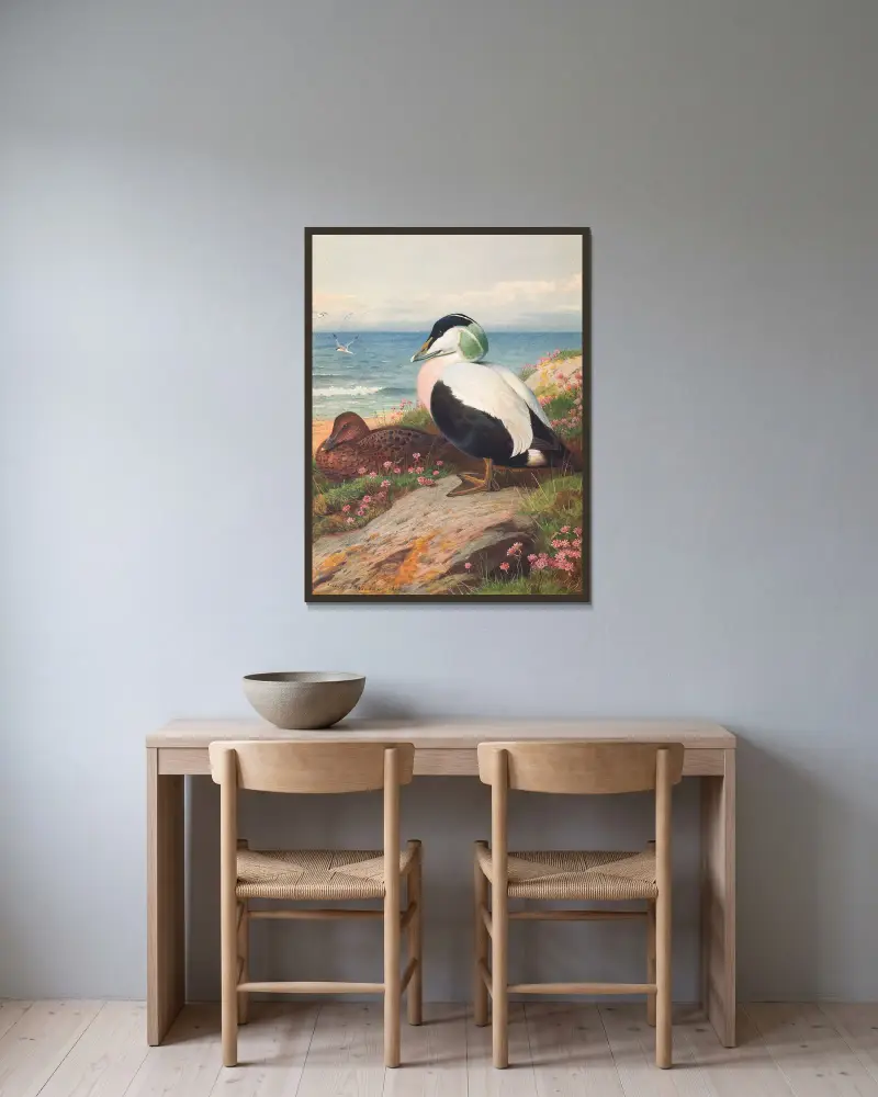 Eider Duck av Archibald Thorburn inramad på en vägg