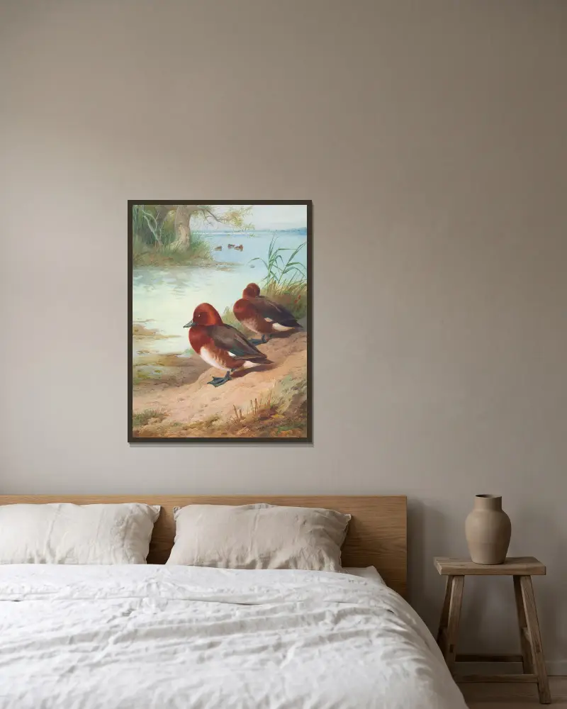 Moorente von Archibald Thorburn gerahmt an einer Wand