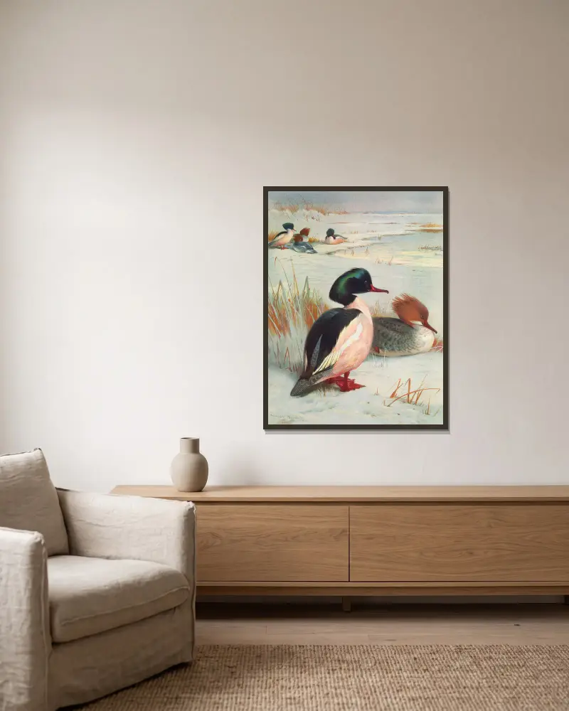 Goosander av Archibald Thorburn inramad på en vägg